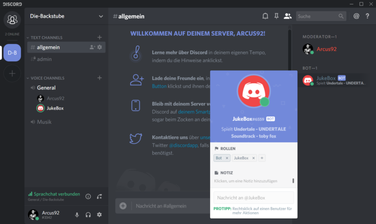 Discord Music Player – David-Schulte.de